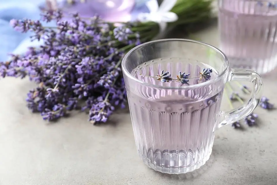 Pure Lavender Water Benefits: Uses, Ingredients & Everything You Need to Know