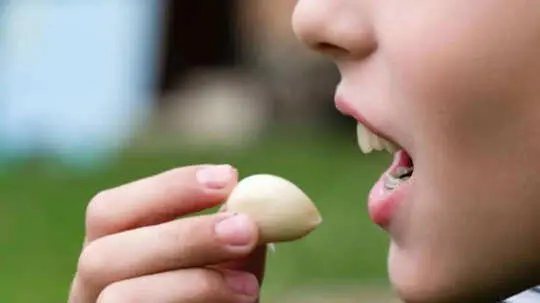 Raw Garlic on an Empty Stomach: What It Really Does to Your Body