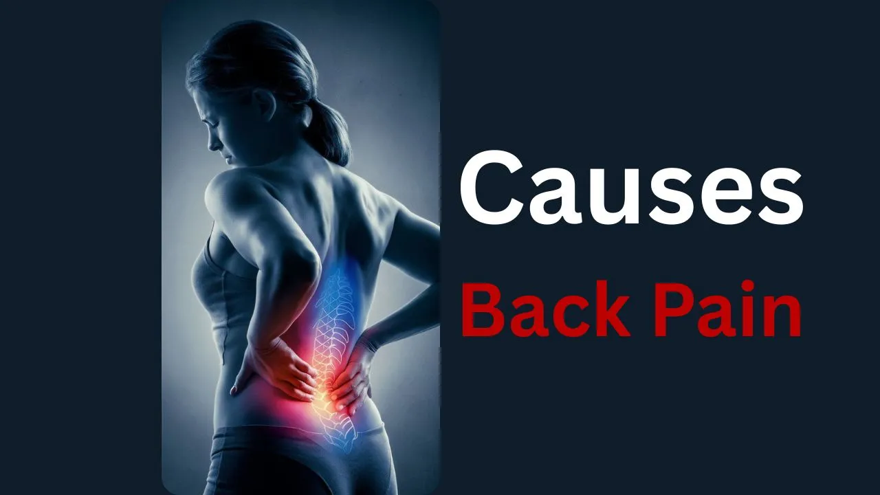 Back Pain in Women