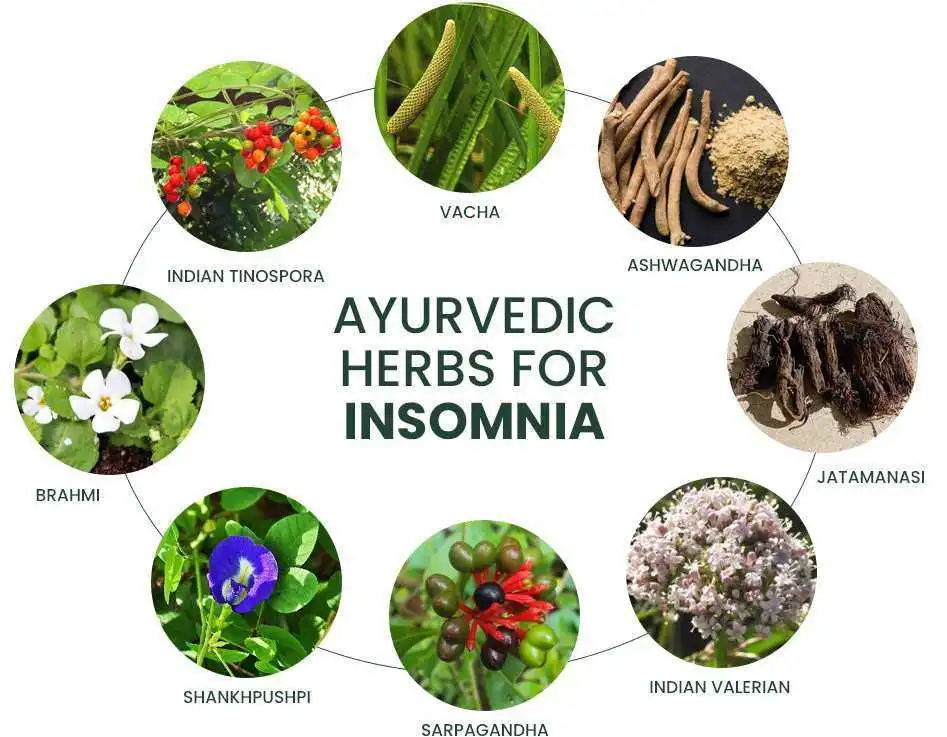 Ayurvedic Herbs for Deeper, Restful Sleep