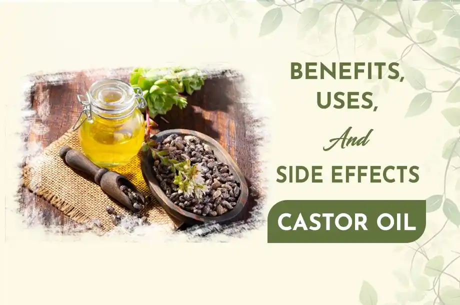 What Happens When You Use Castor Oil Daily? The Real Benefits, Risks, and What Is Actually Proven