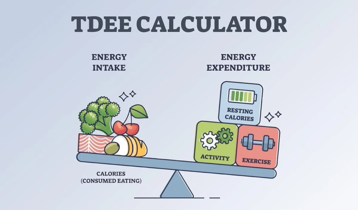 Free TDEE, Calorie Deficit & Macro Calculator