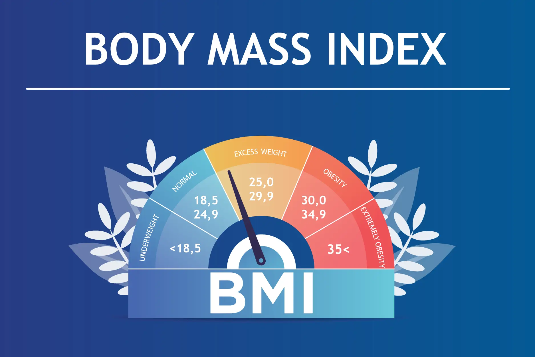 Free Interactive BMI Calculator