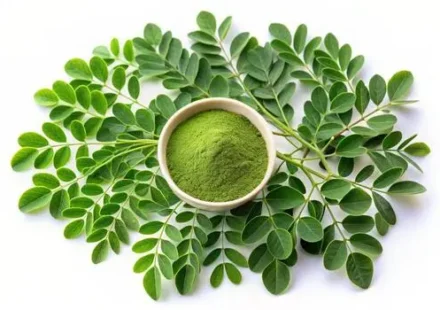 moringa-leaves-and-powder-in-a-bowl-photo