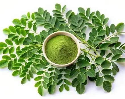 moringa-leaves-and-powder-in-a-bowl-photo