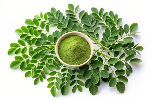 moringa-leaves-and-powder-in-a-bowl-photo