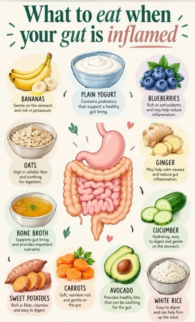 Infographic showing 10 foods that support gut health, including bananas, yogurt, blueberries, oats, ginger, bone broth, cucumber, sweet potatoes, carrots, and avocado